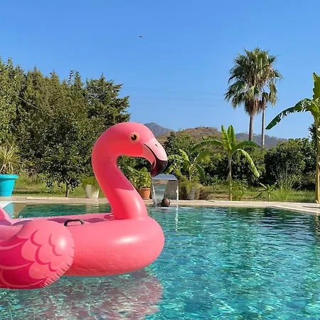 וילה Big With Pool In *
