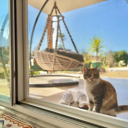 Big With Pool In * מרמריס